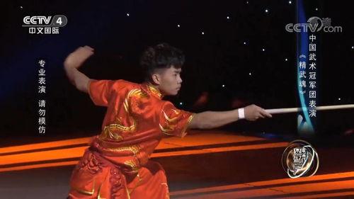 国产武术冠军视频
