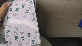 国产sp5盲盒开箱视频