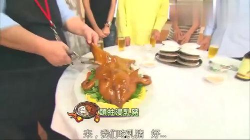 国产小乳猪视频在线播放,在线播放引网友热议