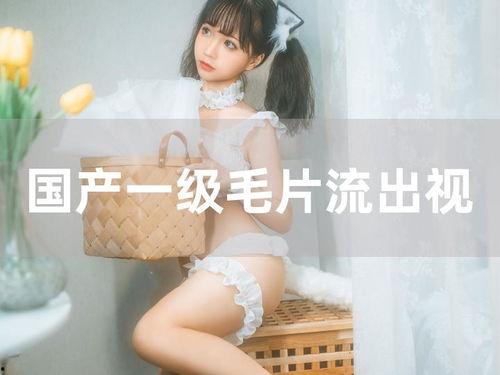 国产精品视频夜夜看,精彩纷呈，尽享视听盛宴